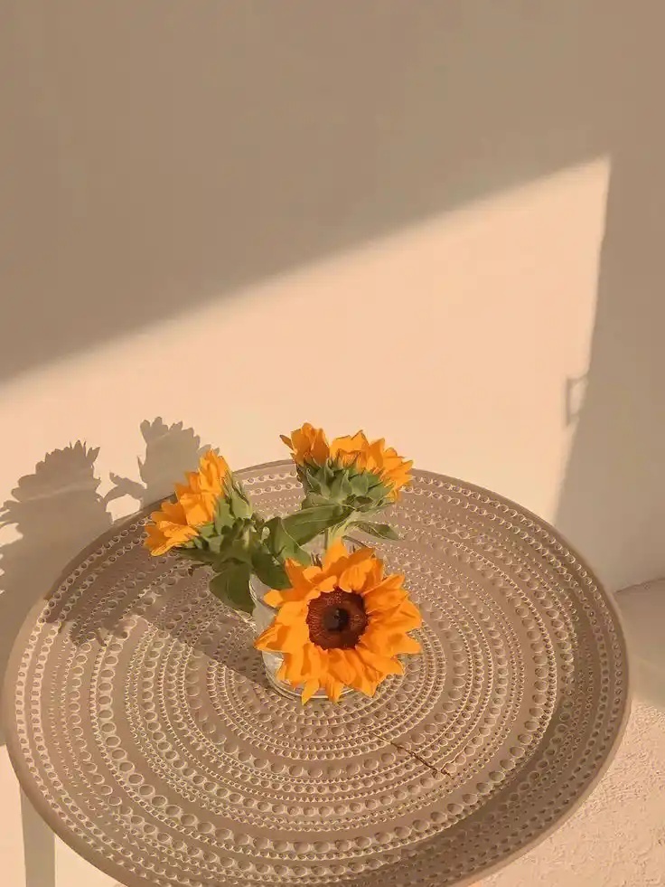 @zzcseo+2025最新蜘蛛池_语义理解增强包_深度学习版V48.46.72安卓最新版V59.48.39下载